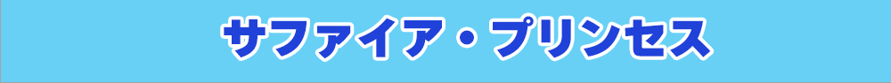 �_�C�������h�v�����Z�X